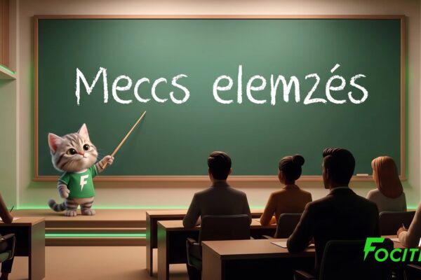 Meccs elemzés